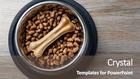  Presentation with dog food - Presentation theme enhanced with dog food in metal bowl background and a violet colored foreground