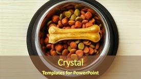  Presentation with dog food - Cool new presentation theme with dog food in metal bowl backdrop and a tawny brown colored foreground
