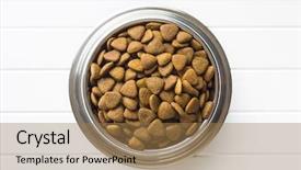  Presentation with drying food - Presentation theme featuring dog food in metal bowl background and a coral colored foreground