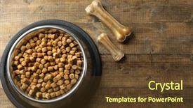  Presentation with dog food - PPT theme featuring dog food in metallic bowl background and a tawny brown colored foreground