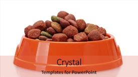  Presentation with dog food - PPT layouts featuring dog food in orange bowl background and a red colored foreground