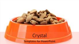  Presentation with dog food - Colorful presentation theme enhanced with dog food in orange bowl backdrop and a  colored foreground