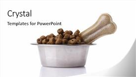  Presentation with dog food - Audience pleasing presentation design consisting of dog food isolated on white backdrop and a white colored foreground