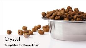  Presentation with dog food - Audience pleasing slide deck consisting of dog food isolated on white backdrop and a lemonade colored foreground