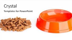  Presentation with dog food - Presentation featuring dog food isolated on white background and a  colored foreground