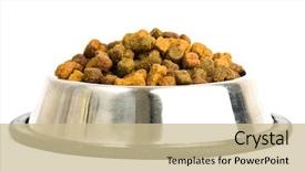  Presentation with dog food - Presentation design having dog food isolated background and a soft green colored foreground