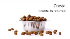 Presentation with dog food - Audience pleasing slide deck consisting of dog food isolated backdrop and a white colored foreground