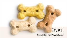  Presentation with dog bone chewing - Colorful slide deck enhanced with dog food shaped like bones backdrop and a lemonade colored foreground