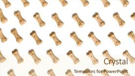  Presentation with dog food - PPT theme consisting of dog food shaped like bones background and a cream colored foreground