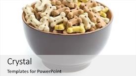  Presentation with dog food - PPT layouts having dog food shaped like bones background and a light gray colored foreground