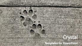  Presentation with footprints - Beautiful presentation theme featuring dog footprints printed in sidewalk backdrop and a  colored foreground