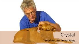  Presentation with examination - Cool new theme with dog for an examination backdrop and a gold colored foreground