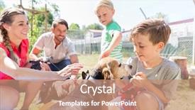  Presentation with family pet - Presentation theme consisting of dog from the animal shelter background and a coral colored foreground