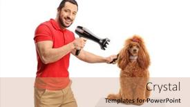  Presentation with poodle - Slide set enhanced with dog-groomer-blow-drying background and a coral colored foreground