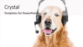  Presentation with headphones - Amazing presentation having dog headphones - beautiful red retriever with headset backdrop and a  colored foreground