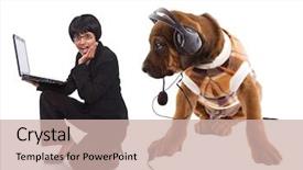  Presentation with listening - Slides consisting of dog headphones - rhodesian ridgeback puppy listening music background and a  colored foreground