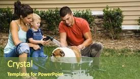  Presentation with dog bath - Presentation having giving english bulldog a bath background and a tawny brown colored foreground