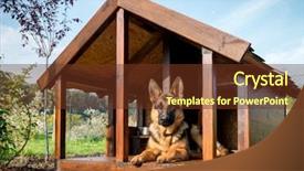  Presentation with german - Audience pleasing presentation theme consisting of watch dogs - german shepherd resting in its backdrop and a tawny brown colored foreground