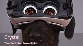  Presentation with virtual reality - Audience pleasing PPT layouts consisting of dog immersed in virtual reality backdrop and a wine colored foreground
