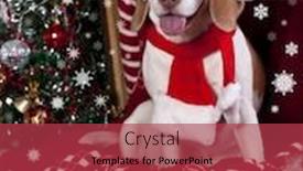  Presentation with hat - Colorful slide deck enhanced with dog-in-a-santa-claus backdrop and a red colored foreground