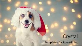  Presentation with dog christmas - Amazing PPT layouts having dog in christmas hat happy backdrop and a mint green colored foreground