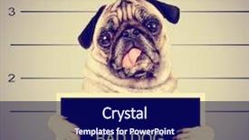  Presentation with police dog - Slide set featuring four cheerful children in winter clothes and accessories stand near the house decorated for christmas time for miracles merry christmas and happy new year background and a light gray colored foreground.