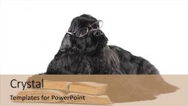  Presentation with medival book - Presentation consisting of dog in glasses and book background and a coral colored foreground