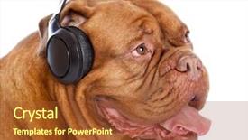  Presentation with music headphones - Cool new presentation theme with dog in headphones is listening backdrop and a  colored foreground