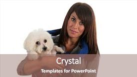  Presentation with 1970s - Amazing presentation theme having  backdrop and a  colored foreground