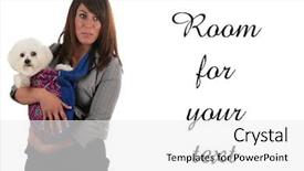  Presentation with 1970 - PPT theme consisting of beautiful young woman carries her bichon frise dog in her retro 1970's purse isolated on white with room for your text background and a white colored foreground