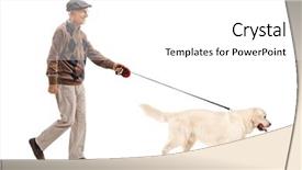  Presentation with magic wand dog - Beautiful presentation theme featuring dog isolated on white background backdrop and a  colored foreground