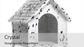  Presentation with dog - Theme enhanced with  background and a  colored foreground