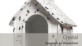  Presentation with dog - Cool new presentation with dog-kennel-isolated-on-white backdrop and a light gray colored foreground