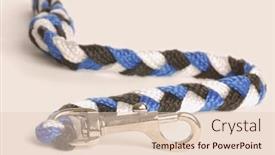  Presentation with leash - Theme having dog leash isolated on a white background background and a lemonade colored foreground