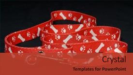  Presentation with paw prints - Slide deck featuring dog leash with paw print background and a red colored foreground
