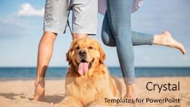  Presentation with footprints - Cool new presentation theme with dog lying on the beach backdrop and a coral colored foreground