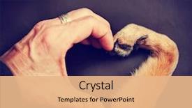  Presentation with vintage retro - Presentation theme consisting of dog making a heart background and a coral colored foreground