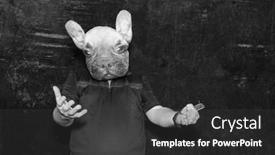  Presentation with photo - Theme having dog-man-photo-booth background and a  colored foreground
