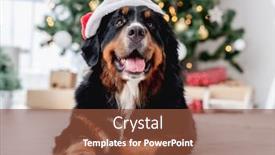  Presentation with dog christmas - Cool new slides with dog-near-christmas-tree backdrop and a tawny brown colored foreground