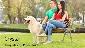  Presentation with dog park - Colorful presentation enhanced with dog on a wooden bench backdrop and a yellow colored foreground