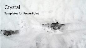  Presentation with footprints - Slides with dog paw print - animal footprints on the snow background and a white colored foreground