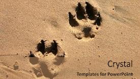  Presentation with paw - Theme with color samples for selection with house plan on background background and a sky blue colored foreground