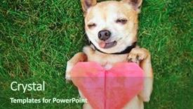  Presentation with paw - Amazing PPT theme having dog paws - cute chihuahua holding an origami backdrop and a forest green colored foreground