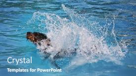  Presentation with free dog - PPT layouts featuring dog playing at a public event at a local pool free admission background and a teal colored foreground