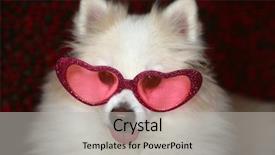  Presentation with shape heart - Slide set having dog portrait dog wearing heart background and a light gray colored foreground