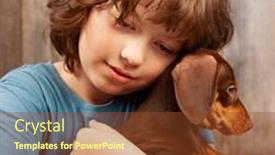  Presentation with dachshund - Cool new PPT theme with dog-puppy-breed-dachshund backdrop and a tawny brown colored foreground