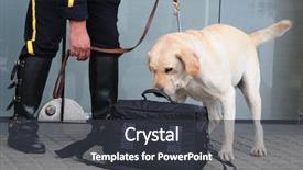  Presentation with rescue - Slide set having dog rescue - security background and a dark gray colored foreground