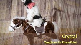  Presentation with horse riding - Beautiful presentation theme featuring dog riding a rocking horse backdrop and a tawny brown colored foreground
