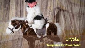  Presentation with horse riding - Slide deck with dog riding a rocking horse background and a tawny brown colored foreground