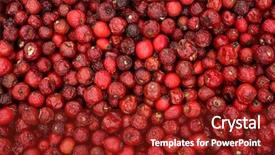  Presentation with rose hips - Beautiful presentation theme featuring dog rose hips are drying backdrop and a tawny brown colored foreground